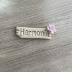 HARMONIA