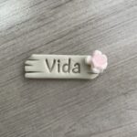 VIDA